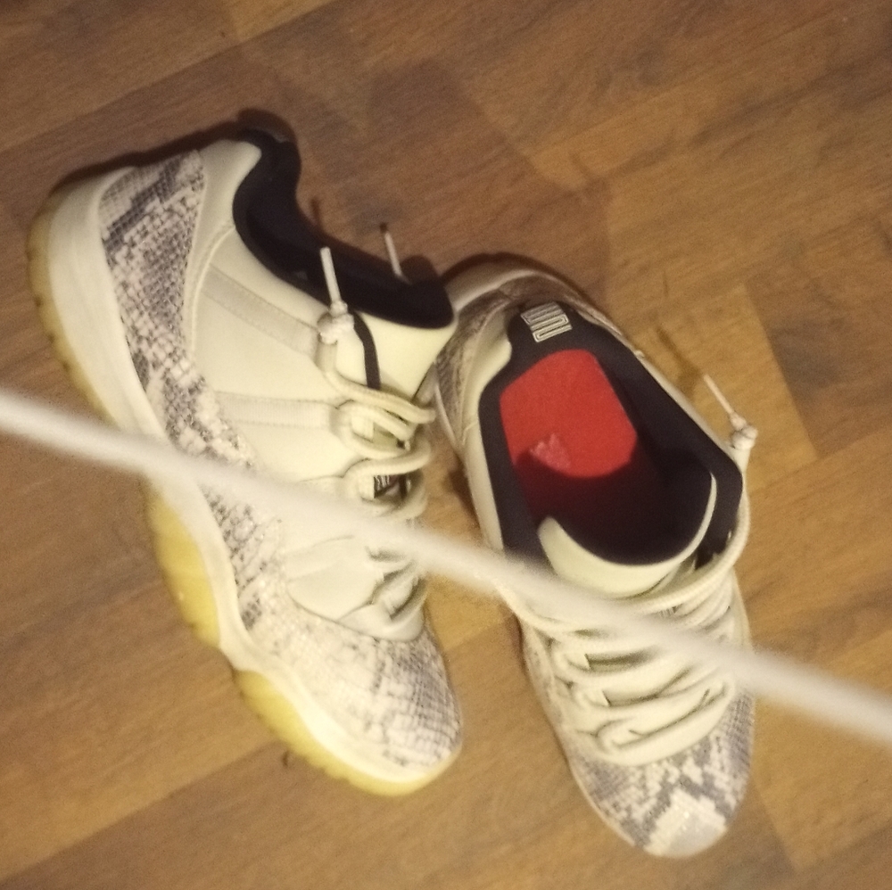 Jordan 11 snake skin